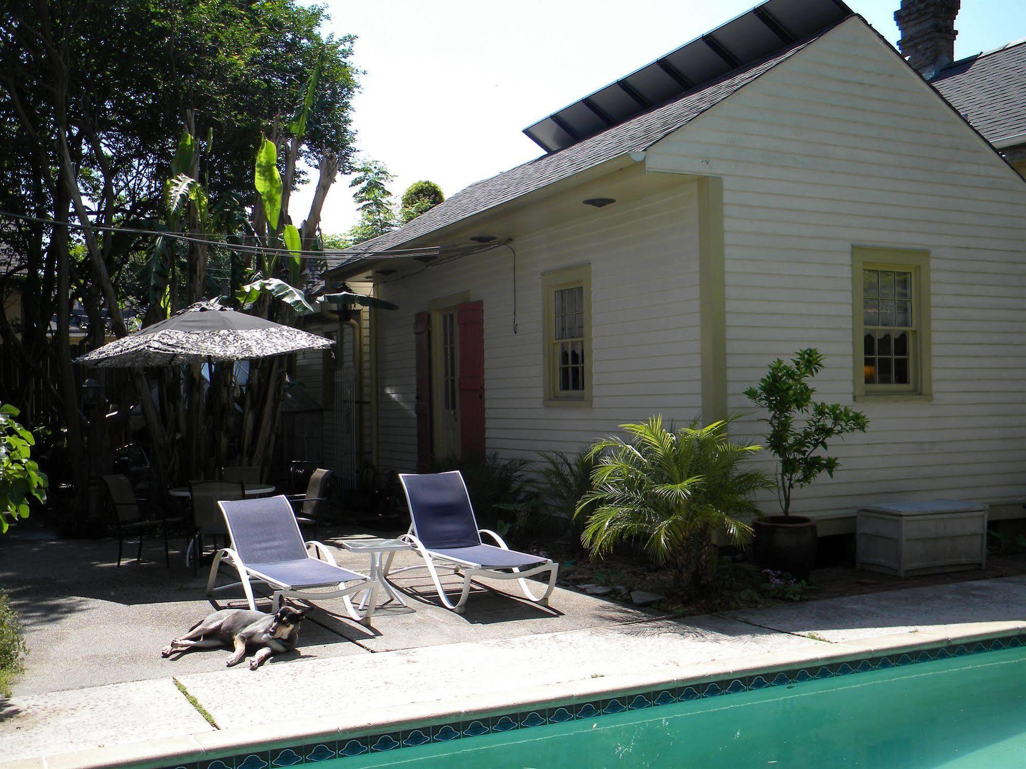 Maison De Macarty Bed & Breakfast New Orleans Eksteriør bilde